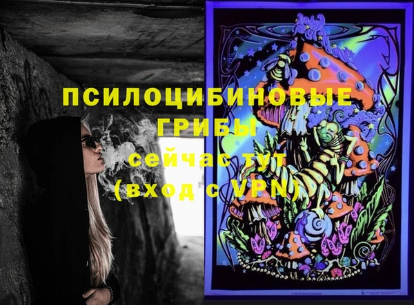 гидра Карталы