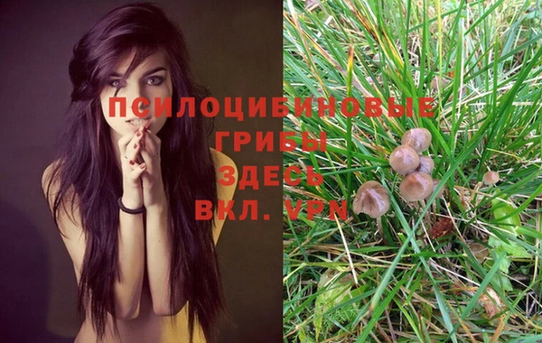 MDMA Карпинск
